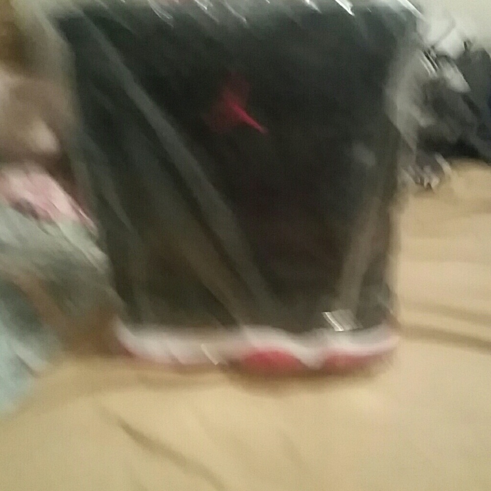 AUTHENTIC NIKE JORDAN 11 "PREMIUM BRED"" SHOE BAG - Picture 7 of 7